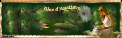 Blog Anaflore